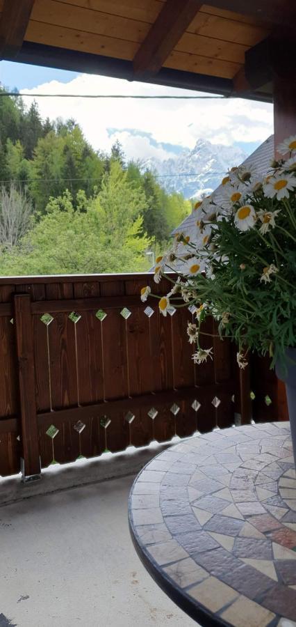 Apartment Alpska Astra Кранска гора Екстериор снимка